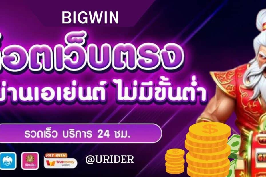 BIGWIN (1)